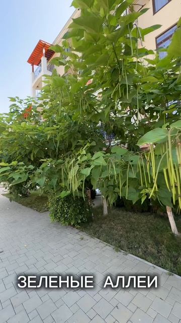 Квартира с бассейном