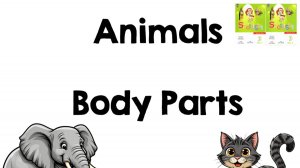 Spotlight 3 Module 5 Unit 9 Body Parts Animals Vocabulary