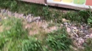 Мопеды сериал | Серия 988