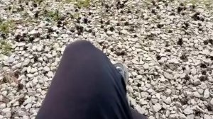 Мопеды сериал | Серия 971