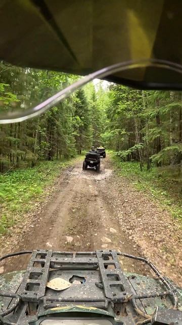 Глиномес в деле #карелия #квадроциклы #travelvlog #морошка #черника #глиномес смотреть онлайн