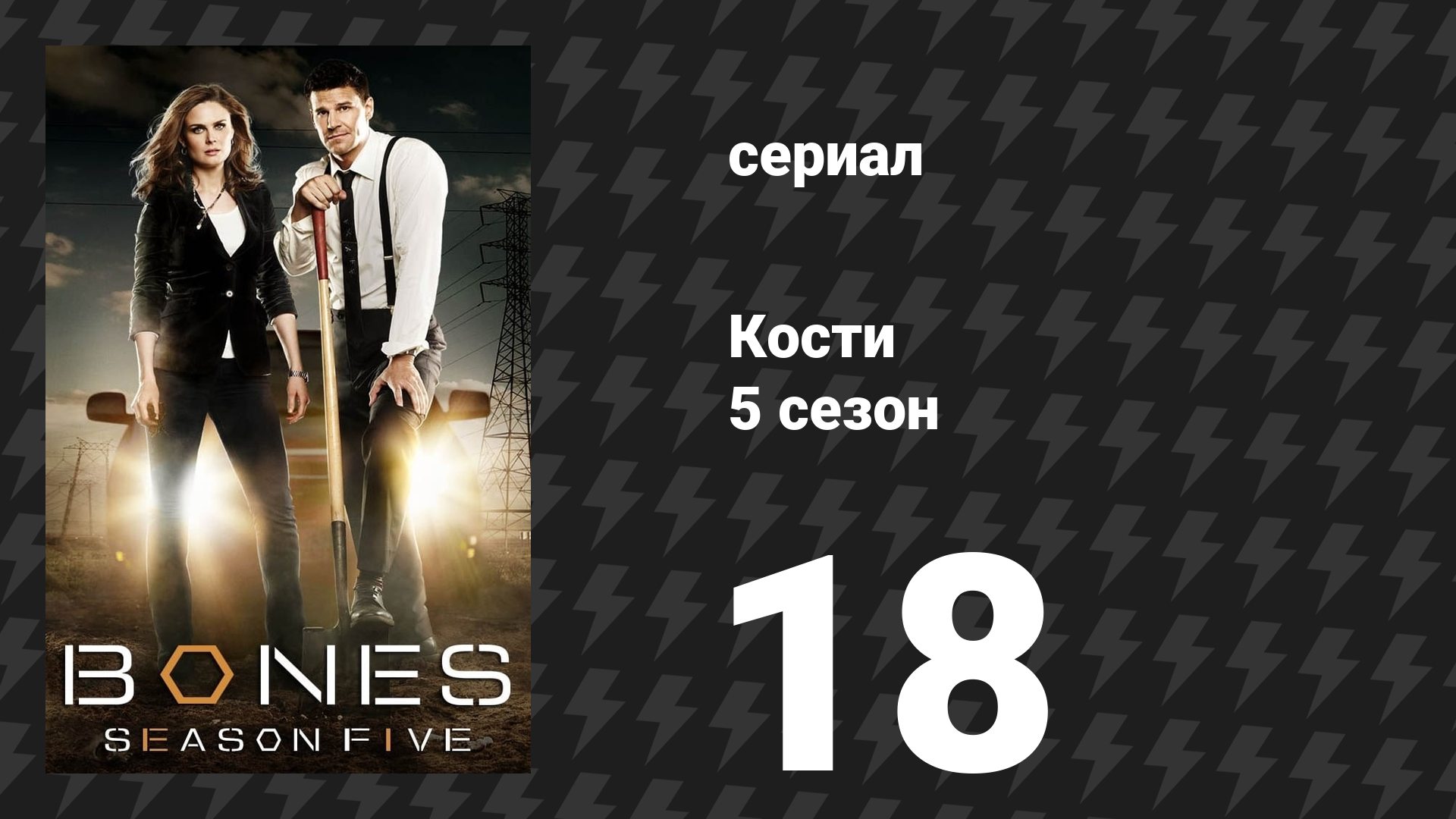 Кости 5 сезон 18 серия «Хищник в бассейне» (сериал, 2009) смотреть онлайн