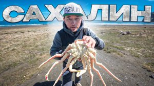 Литр икры за 10 000₽?! Что творится на Сахалине?! Цены на морепродукты Камчатский Краб трепанг!