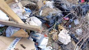 Поиски металла на свалке