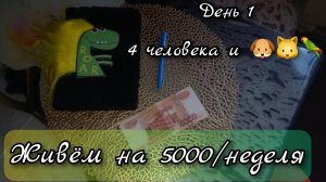 5000 рублей на неделю: Четыре человека и пушистые друзья//день1