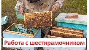 21.07.25 Работаем с шестирамочниками