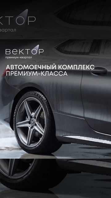 Премиум-квартал Вектор смотреть онлайн