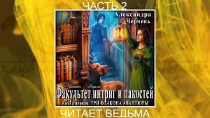 Александра Черчень «Факультет интриг и пакостей» (книга 1) «Три флакона авантюры» (часть 2)