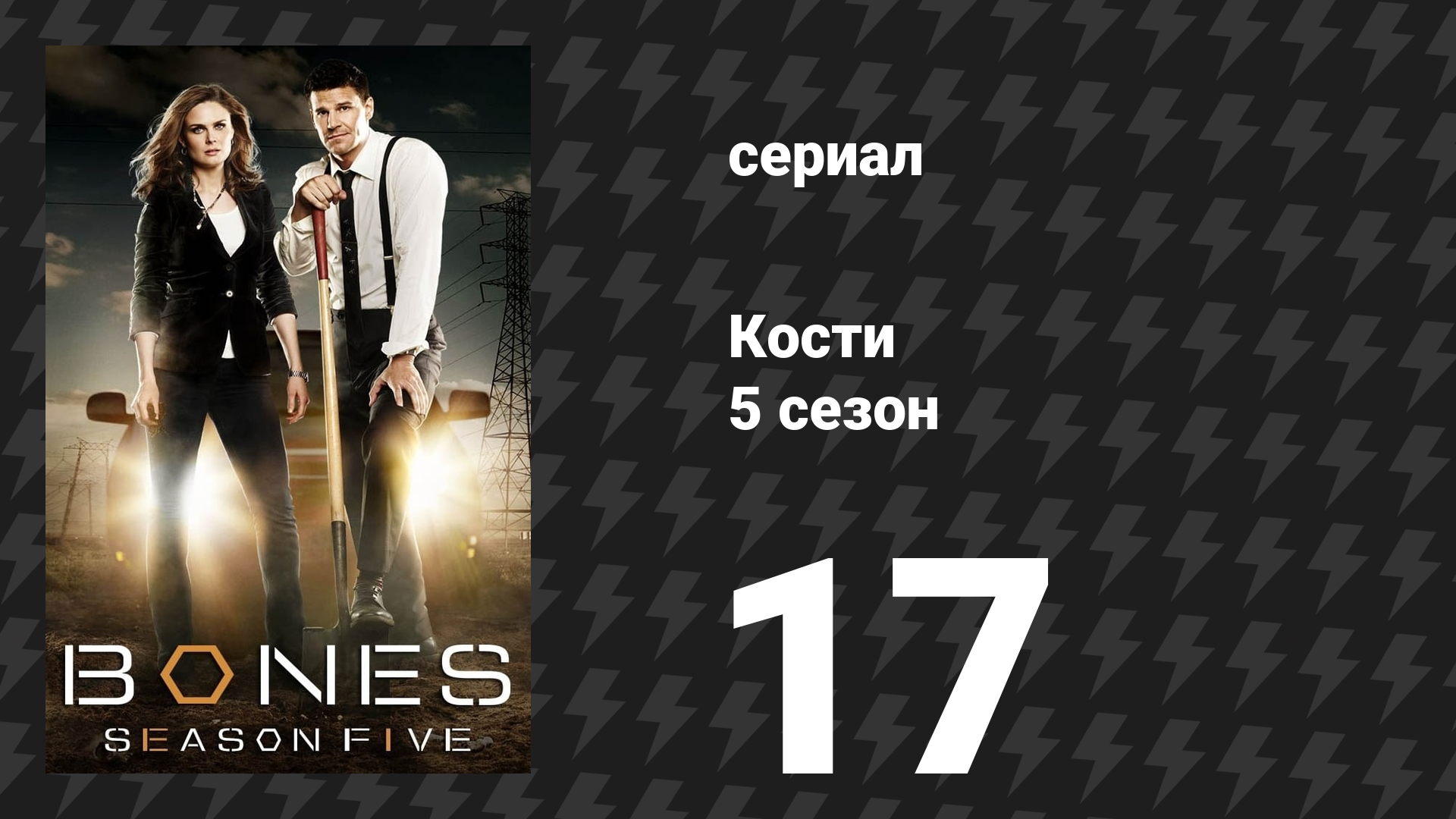 Кости 5 сезон 17 серия «Смерть пчелиной матки» (сериал, 2009) смотреть онлайн