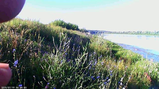 Выходные рыбалка на Суре