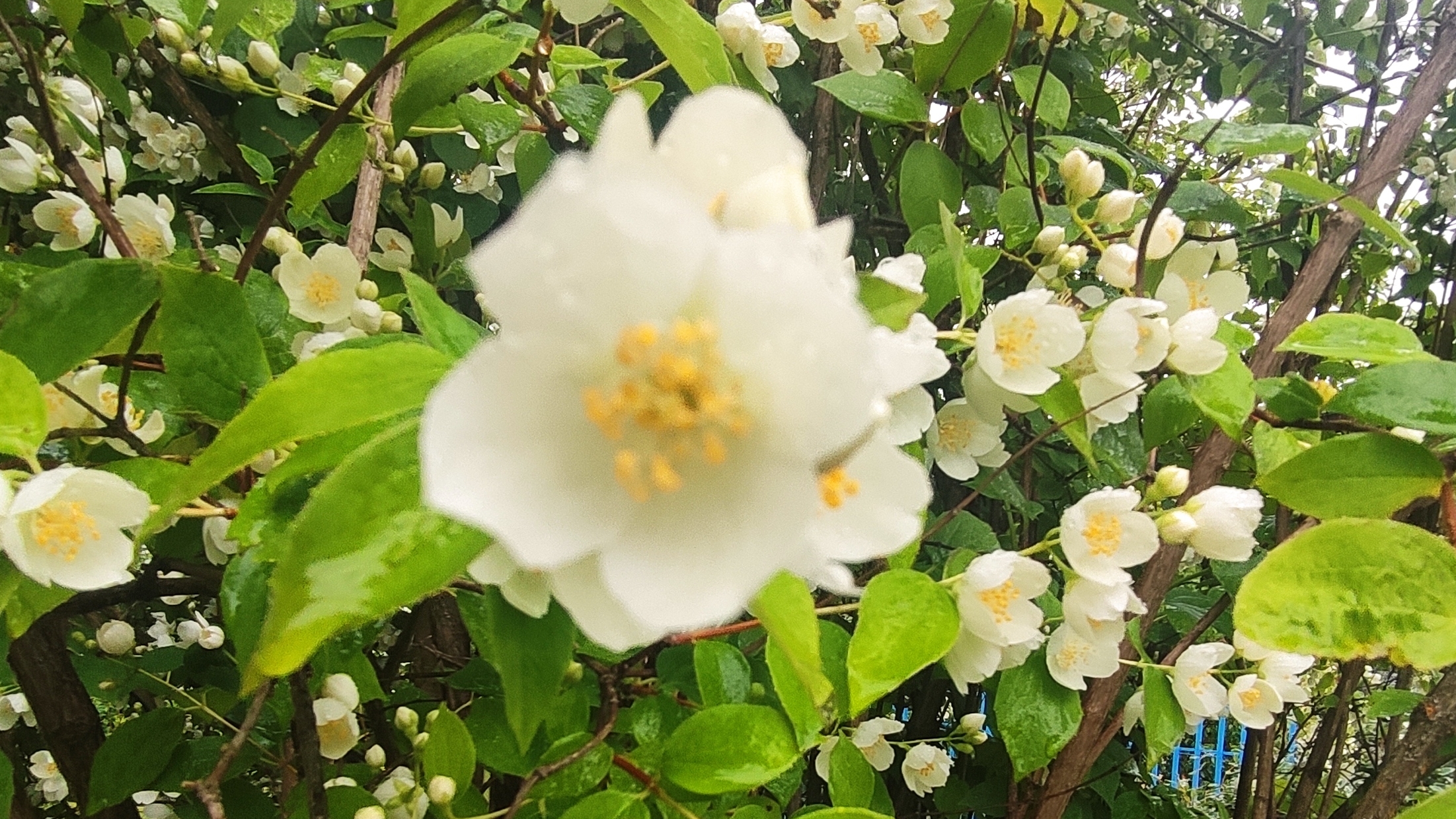 Я приехал в аэропорт в роблоксе и стал наземным экипажем