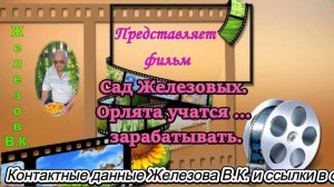 Сад Железовых. Орлята учатся … зарабатывать.