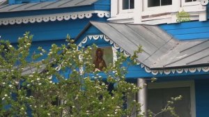 По святым местам. Храм святого апостола и Евангелиста Иоанна Богослова села Шоркистры