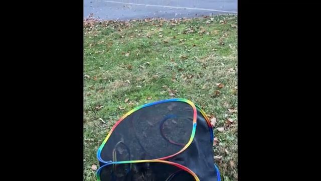 Лучшие смешные видео 2025 года 😂 ПОПРОБУЙТЕ НЕ ЗАСМЕЯТЬСЯ Смешные видео смотреть онлайн