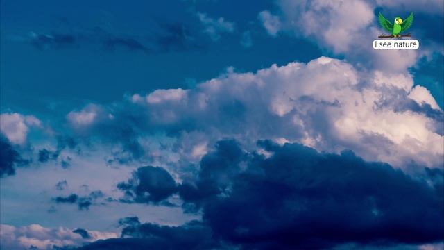 Почему не все облака дождевые? смотреть онлайн