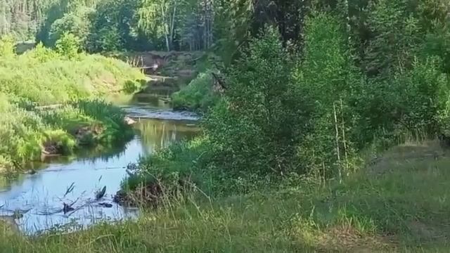 Народный хор Родные напевы Русалочки смотреть онлайн