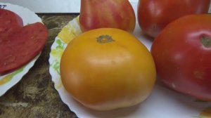 Томат Завтрак Келлога (КВХ) улучшенный. Дегустация 2025 года.