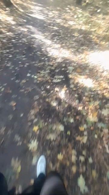 в потоке поэзии