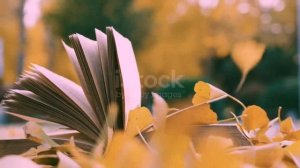 Виктор Зинчук ( Вокализ )