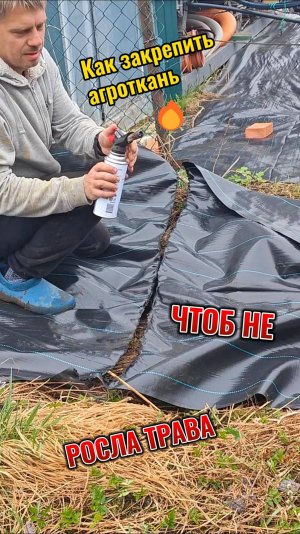 Как закрепить агроткань чтобы не росла трава ?