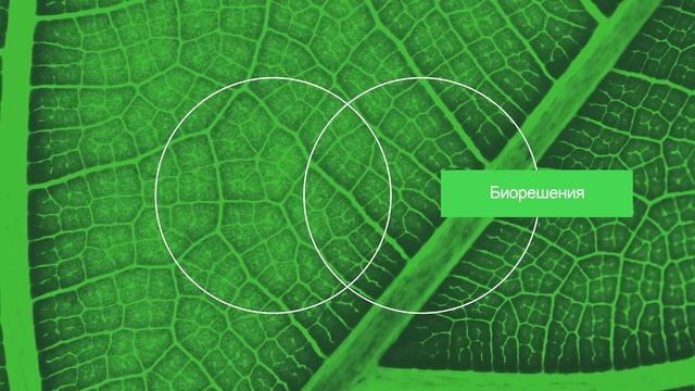 Корпоративное видео 2 смотреть онлайн