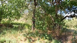 дом 51.8 кв.м. СНТ Строитель-2 Синявское с/п Неклиновский р-н Ростовской обл.