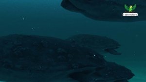 Почему динозавры были большими?