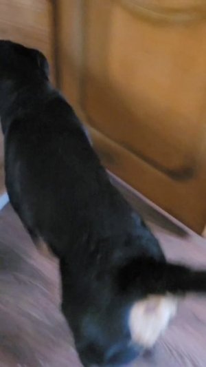 Захотелось вкусняшку получить