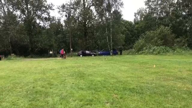 2.  выражено/пож STEEL INSIDE VOORHEES (Варгас из Белого Яра – Guerra Di Fosco Aidas)