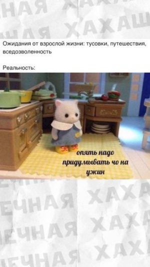 Мемы плюс мемы #мемы #мем #приколы