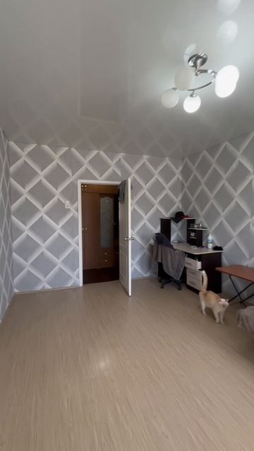 IMG_6581 смотреть онлайн