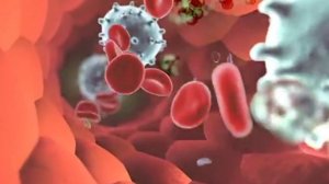 Аппарат «Импловит». Катушка Мишина. Разжижение крови. Профилактика инсультов