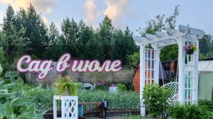 САД день за днем. Что изменилось?