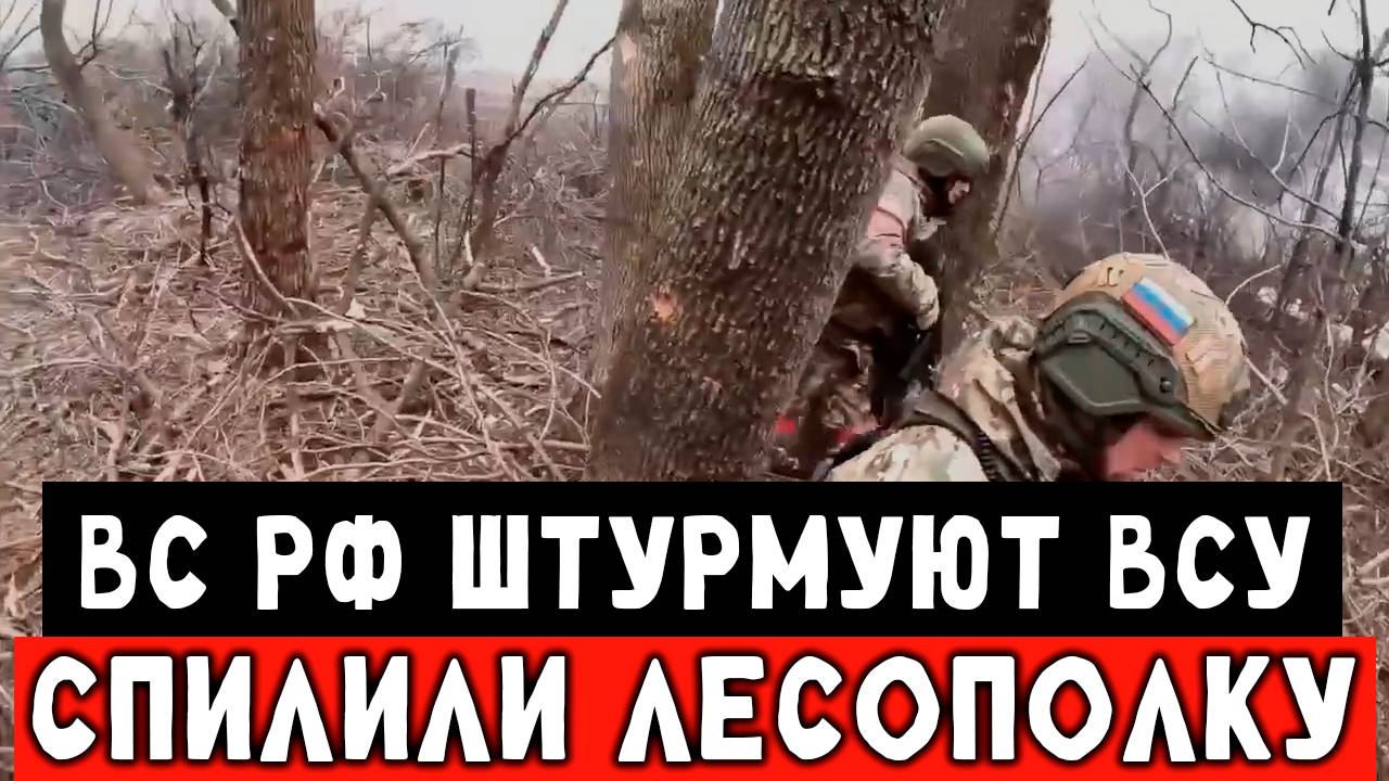 бои в лесополке, жесткий штурм смотреть онлайн