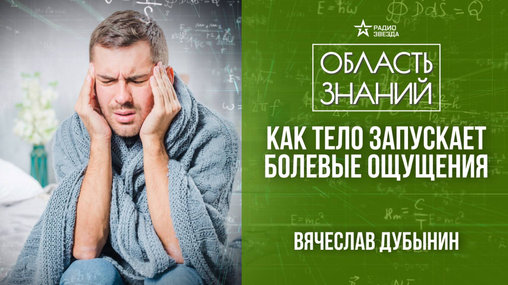 Мозг и боль. Лекция нейробиолога Вячеслава Дубынина. смотреть онлайн
