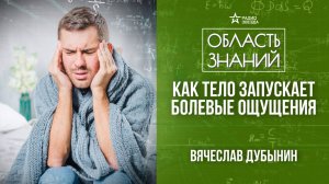 Мозг и боль. Лекция нейробиолога Вячеслава Дубынина.