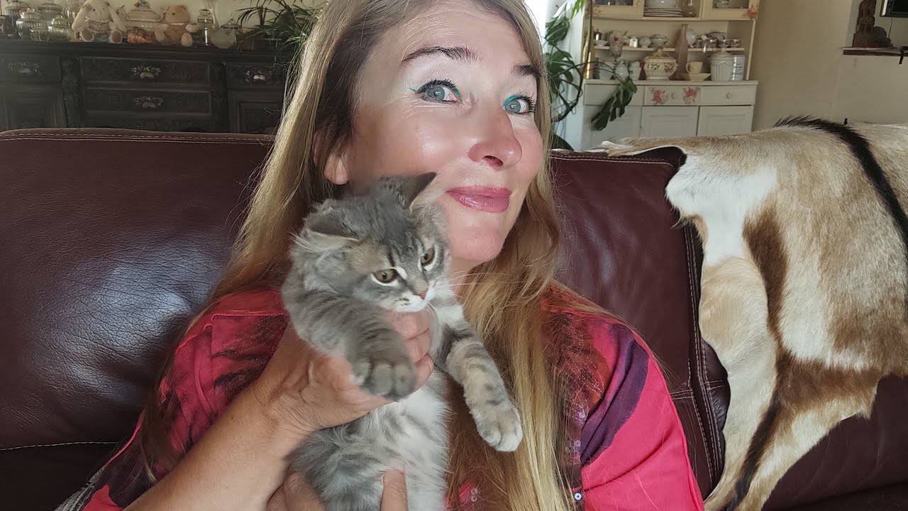 Купила аэрогриль. Ходила на собеседование. (1) смотреть онлайн