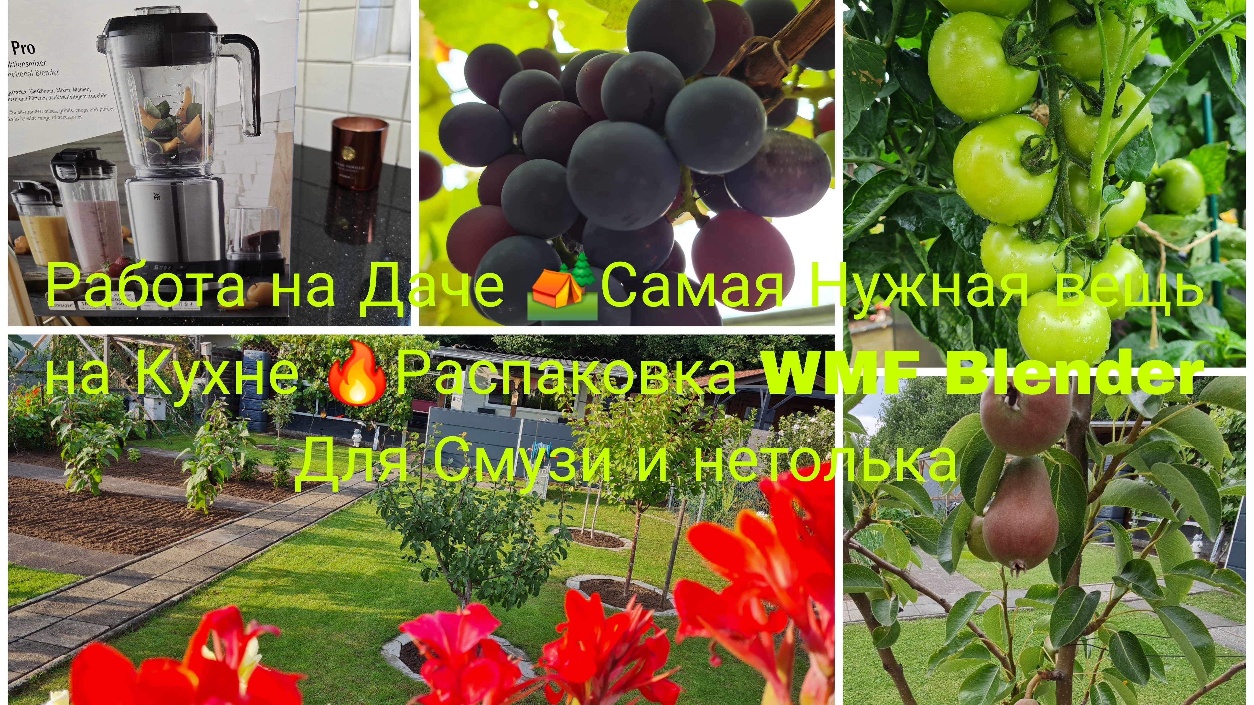 Наша Дача в Германии 🏕 Обрезаю Верхушки ТОМАТОВ 🍅Распаковка 🔥📦WMF хорошая Вещь для кухни 🎀 смотреть онлайн