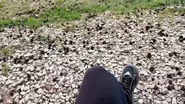 Мопеды сериал | Серия 976