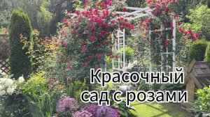 Красочный сад с розами обволакивает уютом и теплом...Для этого я и создавала свой сад!