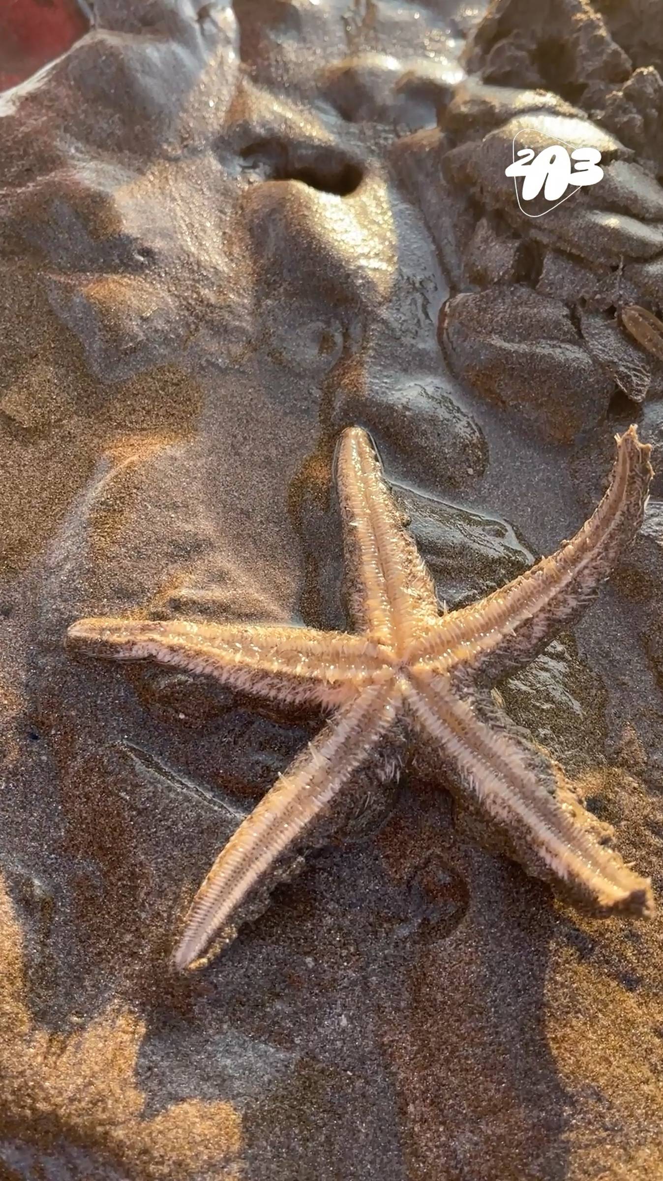 🐙 Мы засняли МОРСКОЕ ЧУДОВИЩЕ! смотреть онлайн