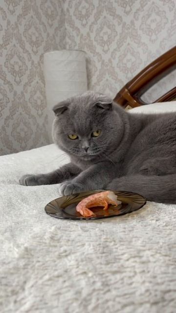 Бесплатный 3-х дневный интенсив «Как правильно составить рацион питания на основе анализов и улучшит