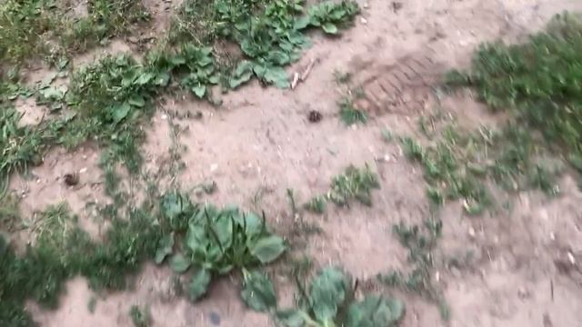 Мопеды сериал | Серия 946