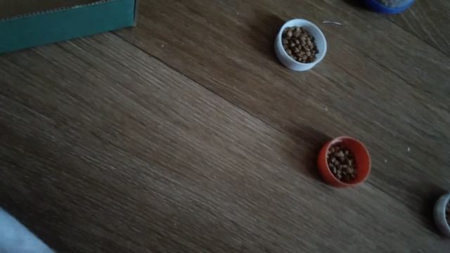 VID_20250721_111749.mp4 смотреть онлайн