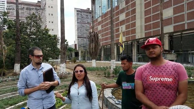 Urban Agriculture in Venezuela: addressing food security (2019)