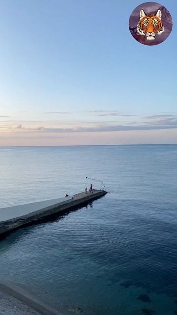 Кристальный бриз #море #красоты #ялта #крым #блогер #tigrvtanke смотреть онлайн