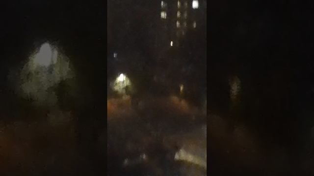 Пугающие дела коты и сестра. смотреть онлайн