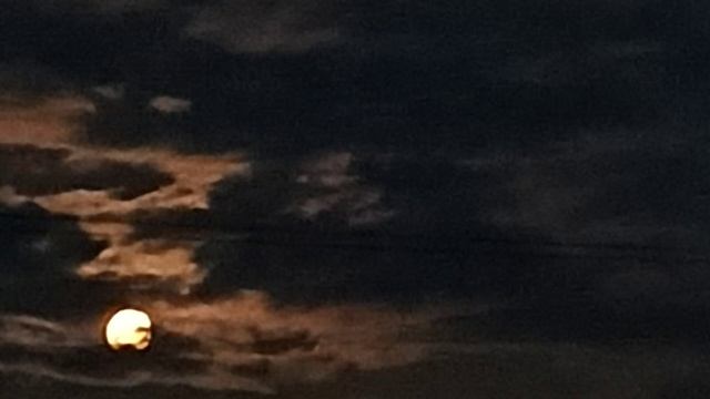 Спокойная ночь 5 (осень-2024) смотреть онлайн