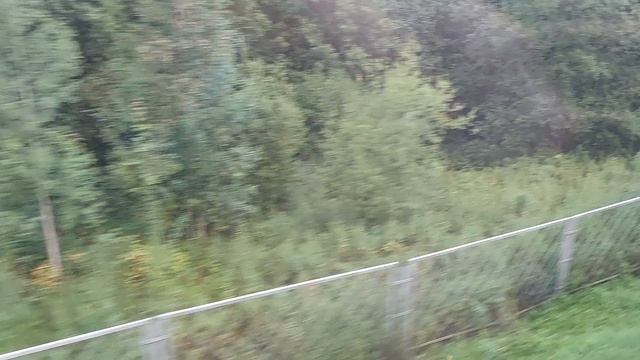 Поездка в Карелию часть 2 "между Удельной и Колпино" смотреть онлайн