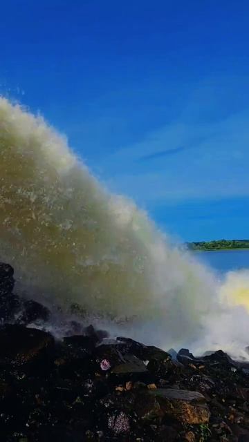 20 июля 2025 г. смотреть онлайн